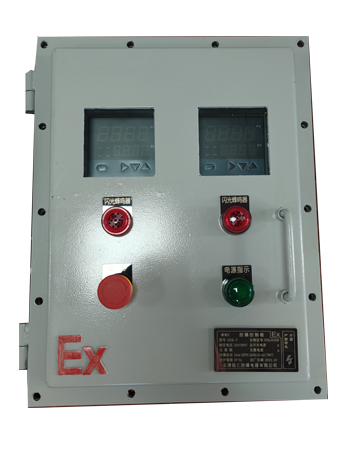 定制仪表款二合一监测报警装置